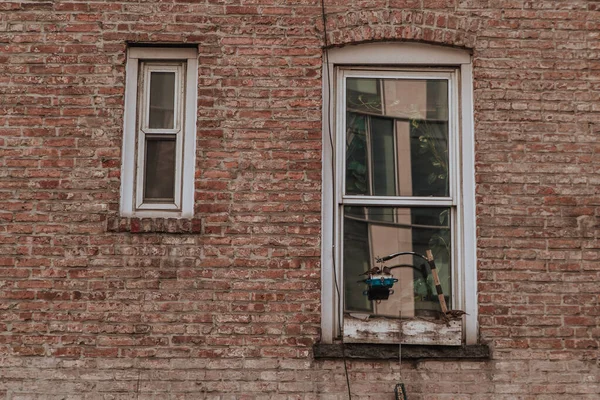 New York. Sparrow birds on the window of an old brick house, eating grain from a feeder