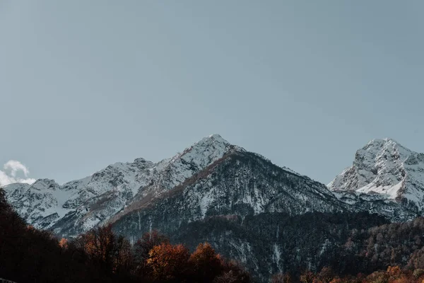 Adler, Rosa Khutor. Büyük karlı dağlar, aşağıda güzel bir sonbahar ormanı..