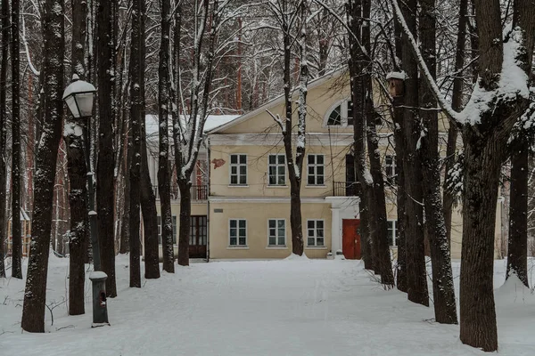 Alley Trees Leading Old Yellow House Winter Time Russia Sukhanovo — Stock Photo, Image