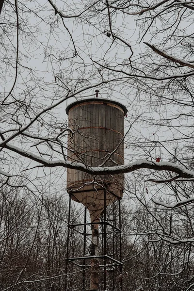 Antigua Torre Agua Madera Bosque Invierno Entre Los Árboles Rusia —  Fotos de Stock