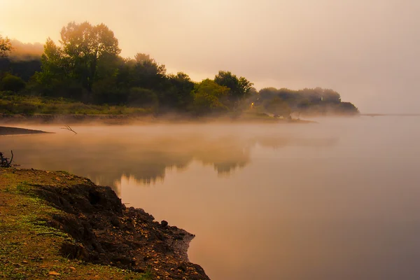 Niebla en el pantano al amanecer — Foto de Stock