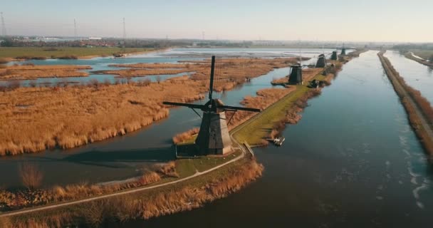 Filmmaterial Den Windmühlen Kinderdijk Niederlande — Stockvideo