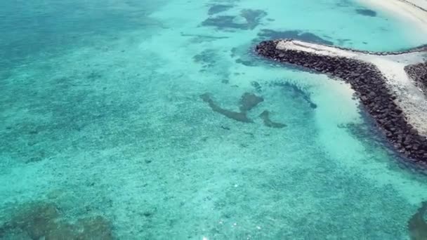 Footage Aerial View Maafushi Island Local Beach Maldives — Αρχείο Βίντεο