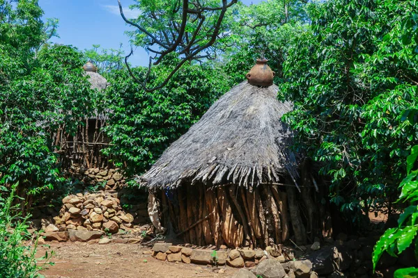 Традиционные Дома Культурной Деревне Консо Эфиопия — стоковое фото