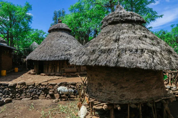 Traditional Houses Konso Cultural Village Ethiopia — Photo