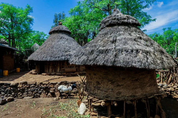 Traditional Houses Konso Cultural Village Ethiopia — Photo