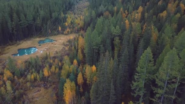 Aerial Footage Video Autumn Forest Geyser Lake Clear Blue Water — Αρχείο Βίντεο
