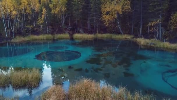Vídeo Imágenes Aéreas Del Bosque Otoñal Lago Geyser Con Agua — Vídeos de Stock
