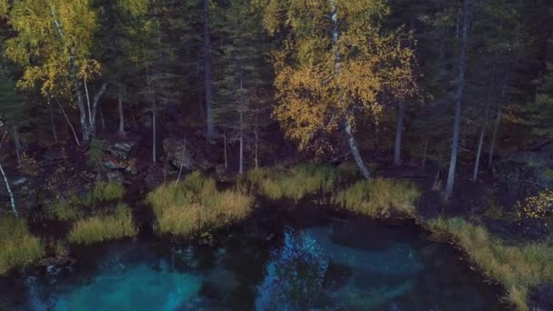 Aerial Footage Video Autumn Forest Geyser Lake Clear Blue Water — Stock Video