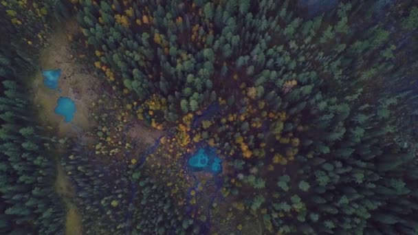 Luftaufnahmen Des Herbstwaldes Und Des Geysirsees Mit Klarem Blauem Wasser — Stockvideo