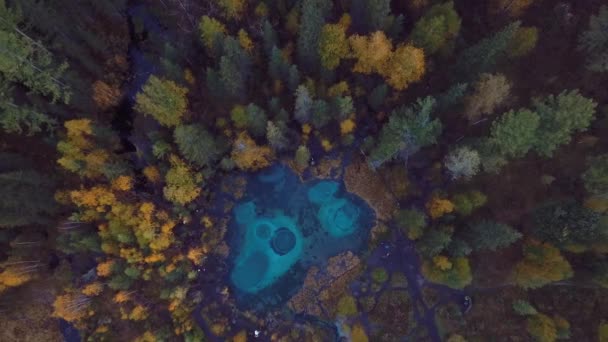 4K空撮ロシア アルタイ山脈のアクタシュ村付近の澄んだ青い水を持つ秋の森とガイザー湖のビデオ — ストック動画