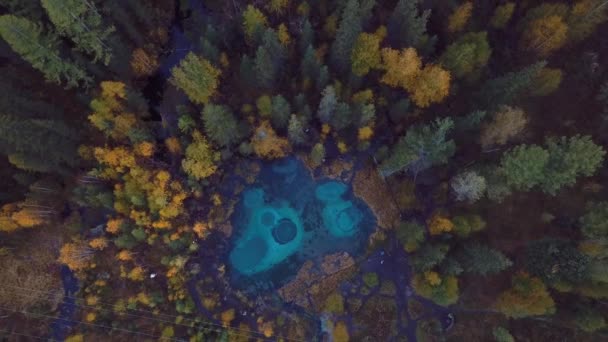 Аэросъемка Осеннего Леса Озера Гейзер Чистой Голубой Водой Вблизи Села — стоковое видео