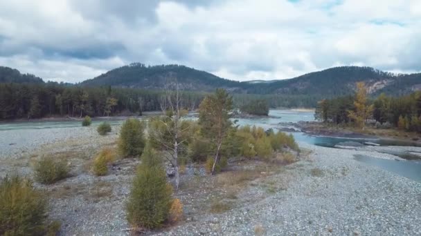 Aerial Footage Video Autumn Road Mountain Forest Chemal Tract Altai — Stock Video