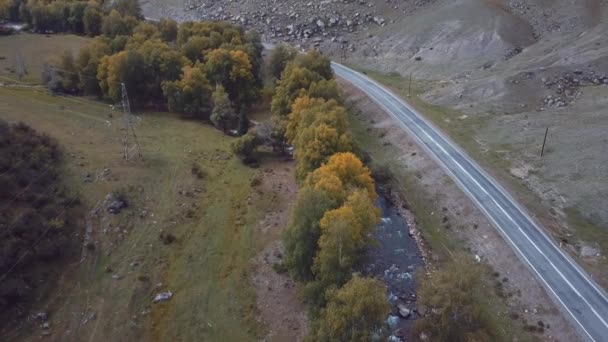 Letecké Záběry Podzimní Cesty Horského Lesa Chemickém Traktu Altai Mountains — Stock video