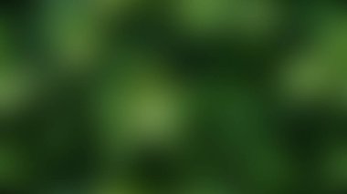 Bulanık eğimli arkaplan. Renkli yumuşak pankart şablonu. Bilgisayar ekranı duvar kağıdı. Basit Gradyan