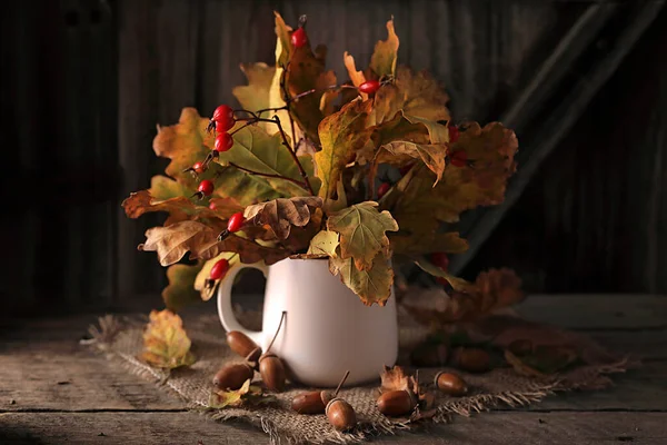 Herfst Stilleven Met Eiken Bladeren Takken Met Rode Bessen Een — Stockfoto