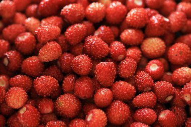 Taze çileğin arka planı