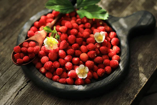 Stillleben Mit Frischen Erdbeeren Becher — Stockfoto