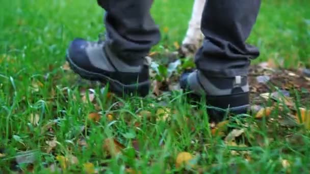 Natuur reizen toeristische reiziger man wandelen in laarzen op groen gras. Sluiten van voeten benen op weide. — Stockvideo