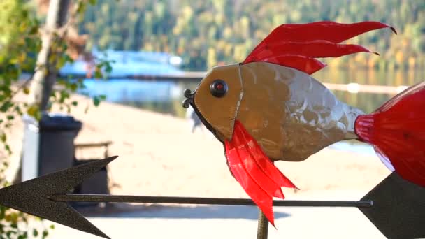 Золотая рыбка с металлической стрелой. Декоративный навигатор или компас — стоковое видео