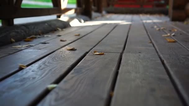 Wooden floor in golden autumn leaves — Stock Footage Wooden floor in golden autumn leaves Stock Footage