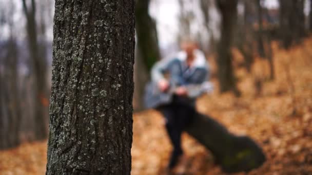 Önplanda sonbahar ormanı ve ağaç ve arka planda gitar çalan bulanık müzisyen. — Stok video