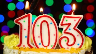 103 numara: Yanan Mumlarla Mutlu Yıllar Pastası.