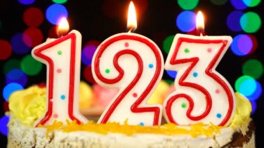 123 numara: Yanan Mumlarla Mutlu Yıllar Pastası.