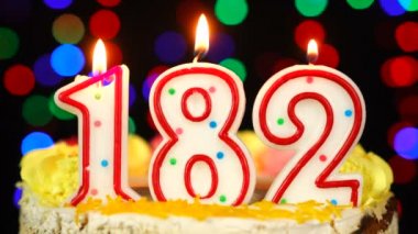 182 Numara: Yanan Mumlarla Mutlu Yıllar Pastası.