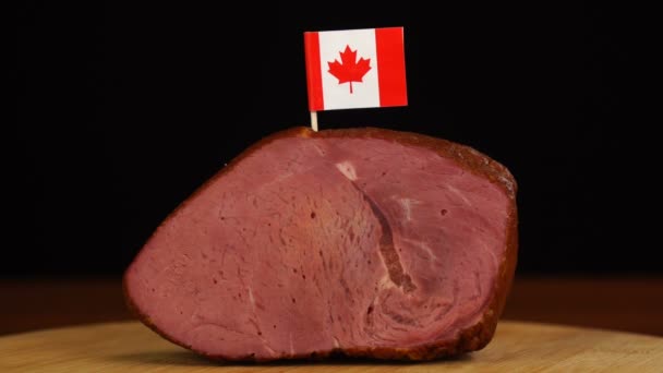 Osoba umístění dekorativní kanadské vlajky párátka do kusu červeného masa. — Stock video