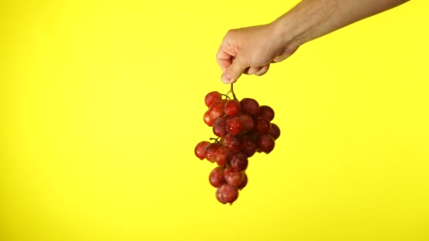 Куча винограда в мужской руке. Изолированный на желтый — стоковое видео
