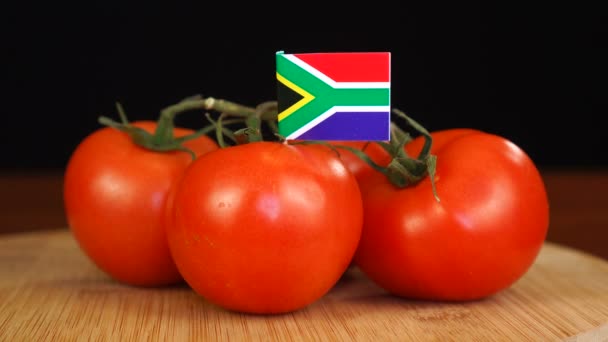 Hombre colocando palillo decorativo con la bandera de Sudáfrica en un montón de tomates. — Vídeo de stock