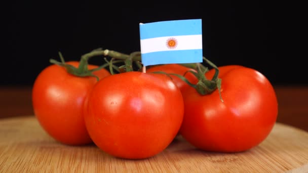 Hombre colocando palillo decorativo con bandera de Argentina en racimo de tomates. — Vídeo de stock