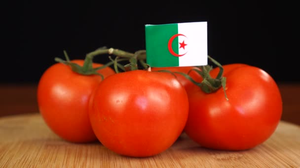 Homem colocando palito decorativo com bandeira da Argélia em um monte de tomates. — Vídeo de Stock