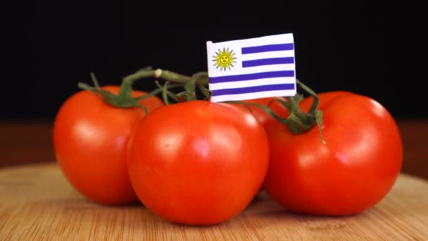 우루과이 국기가 달린 장식용 치약을 토마토 다발에 넣는 남자. — 비디오