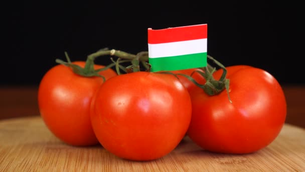 Homem colocando palito decorativo com bandeira da Hungria em um monte de tomates. — Vídeo de Stock