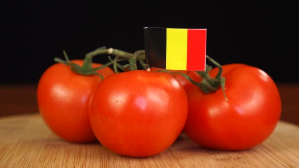 Homem colocando palito decorativo com bandeira da Bélgica em um monte de tomates. — Vídeo de Stock