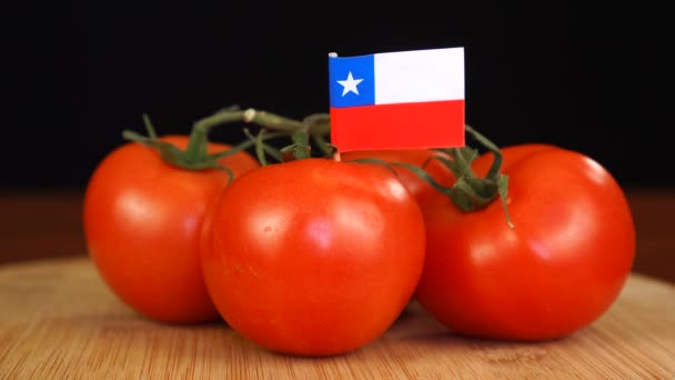 Hombre colocando palillo decorativo con bandera de Chile en manojo de tomates. — Vídeo de stock