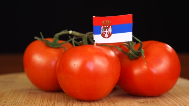 Muž umísťující dekorativní párátko s vlajkou Srbska do svazku rajčat. — Stock video
