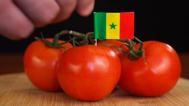 Man plaatst decoratieve tandenstoker met vlag van Senegal in tros tomaten. — Stockvideo