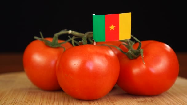 Hombre colocando palillo decorativo con bandera de Camerún en racimo de tomates. — Vídeo de stock