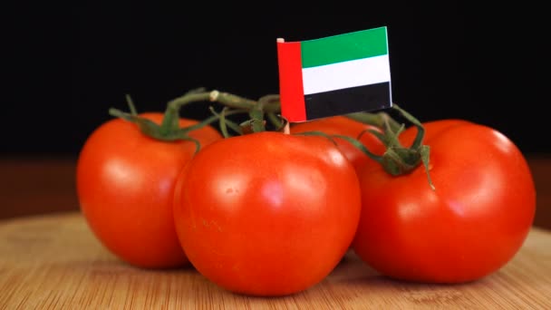 Hombre colocando palillo decorativo con bandera de Emiratos Árabes Unidos en manojo de tomates. — Vídeo de stock