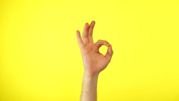 Mans mãos gesticulando ok ok, tudo é bom, isolado em um fundo de estúdio amarelo — Vídeo de Stock