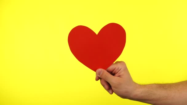 수컷은 노란 배경에 고립된 작은 빨간 심장을 손에 잡고 있습니다. 발렌틴들의 날 — 비디오