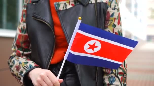 Mulher irreconhecível segurando bandeira coreana. Menina andando rua abaixo com bandeira nacional da Coreia do Norte — Vídeo de Stock