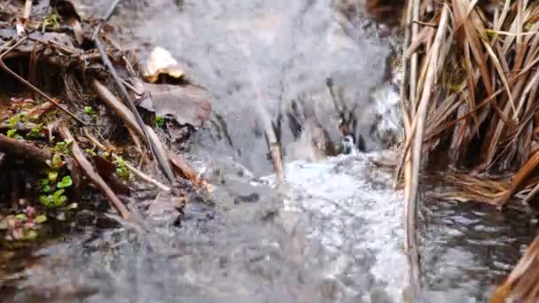 Beautiful small waterfall of clear creek. Wonderful nature concept — Vídeo de stock