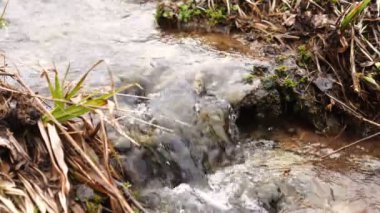 Harika temiz akarsu, doğal arkaplanı kapat.