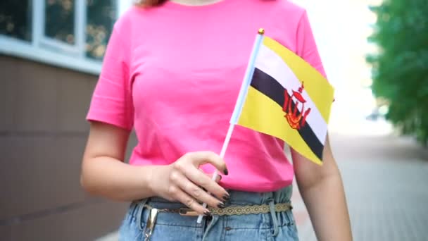 Donna irriconoscibile con bandiera del Bruneo. Ragazza che cammina lungo la strada con bandiera nazionale del Brunei — Video Stock