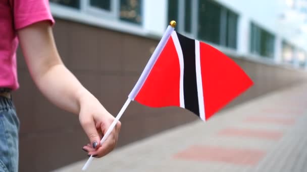 Oigenkännlig kvinna med trinidadisk och Tobagonsk flagg. Flicka gå ner gatan med nationell flagga Trinidad och Tobago — Stockvideo