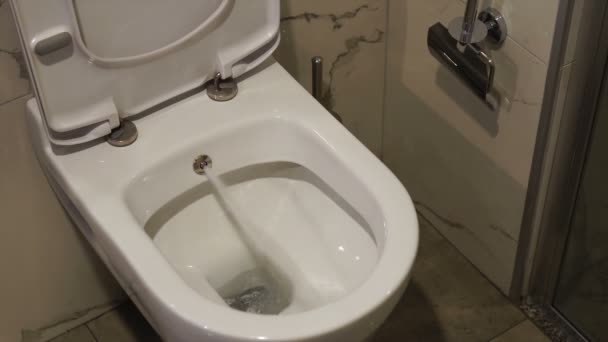 Toaleta z bidetem. Spryskiwacze wodne z muszli klozetowej. — Wideo stockowe
